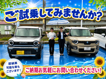 試乗車たくさんあります！！